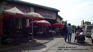 Quentin Gagne- Kunming - 017